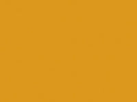 Jacquard Procion Dyes