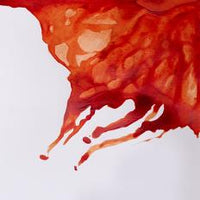 Winsor and Newton Drawing Ink