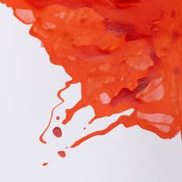 Winsor and Newton Drawing Ink