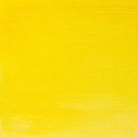 Winsor n Newton Artisan Water mixable oils