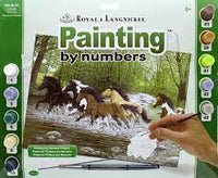 Royal n Langnickel Paint by Number