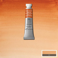Various Watercolor Sets, supplies, brushes, and Winsor Professional Watercolor tubes