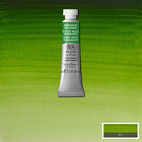 Various Watercolor Sets, supplies, brushes, and Winsor Professional Watercolor tubes