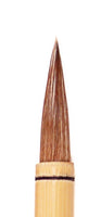 Various Watercolor Sets, supplies, brushes, and Winsor Professional Watercolor tubes