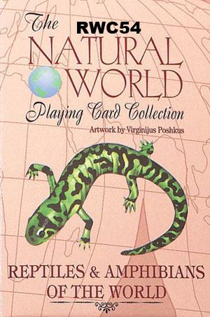 Birds Of The World Playing Cards | Standard Deck With Bird Illustrations For Games & Collecting