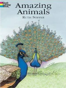 Coloring & Activity Books- Animals & Nature