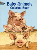Coloring & Activity Books- Animals & Nature